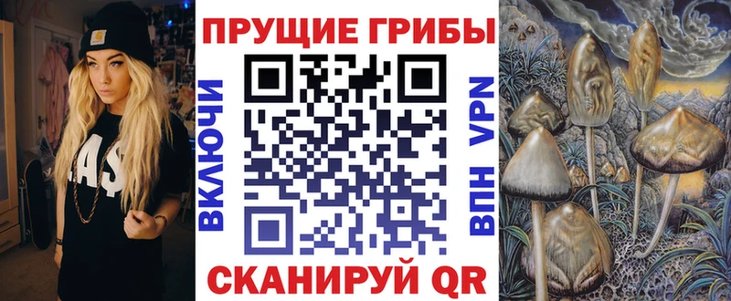 Псилоцибиновые грибы GOLDEN TEACHER  даркнет сайт  Тетюши 