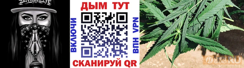 Конопля сатива  купить   Тетюши 